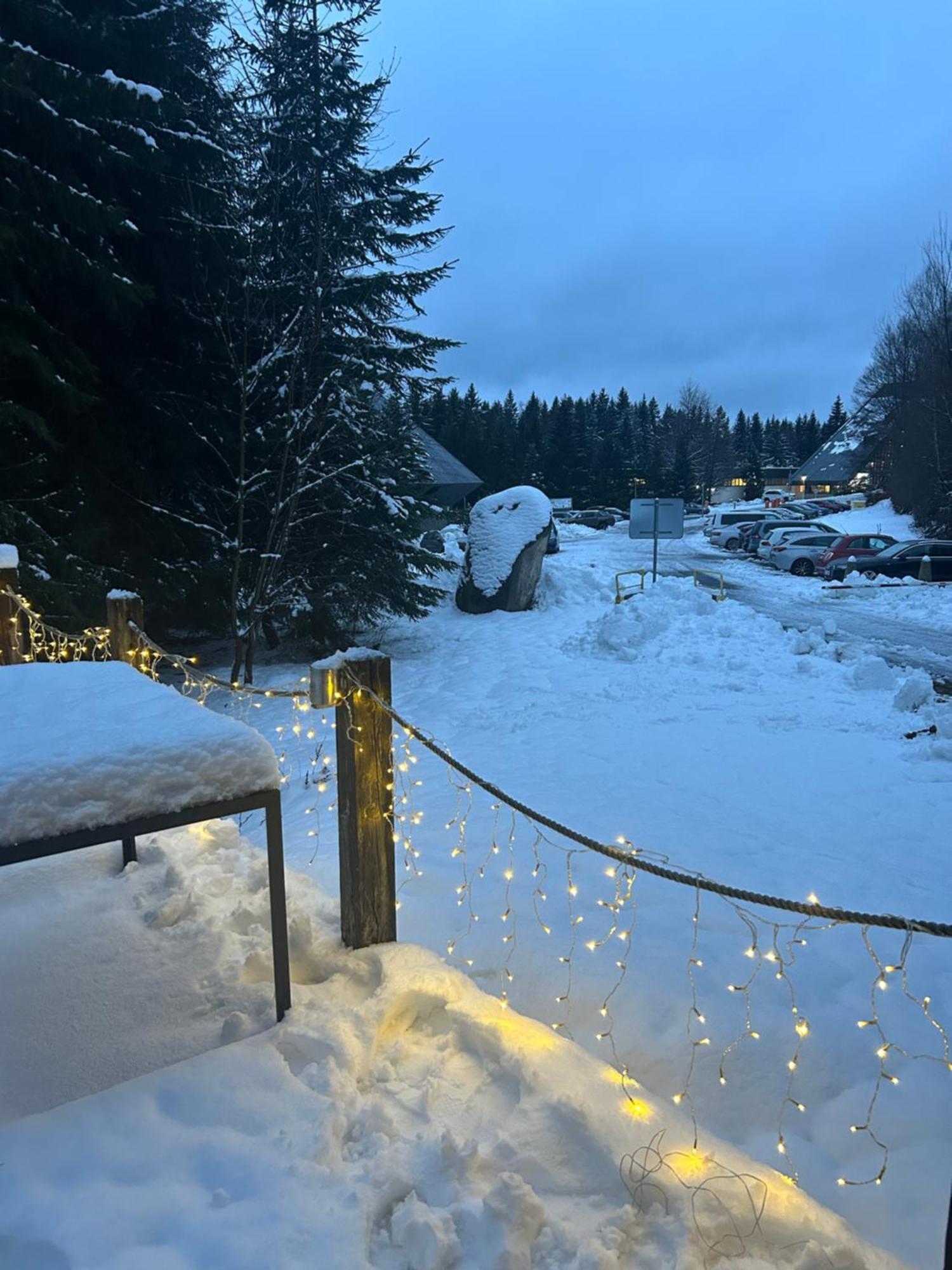 Horsky Chalet Harrachov Dış mekan fotoğraf